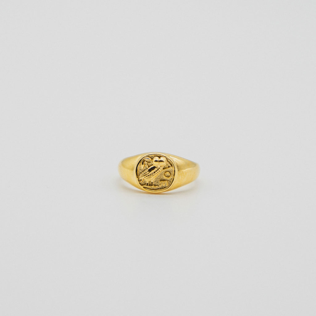 Owl Signet Ring - Gold ring Midnight City Jewellery 