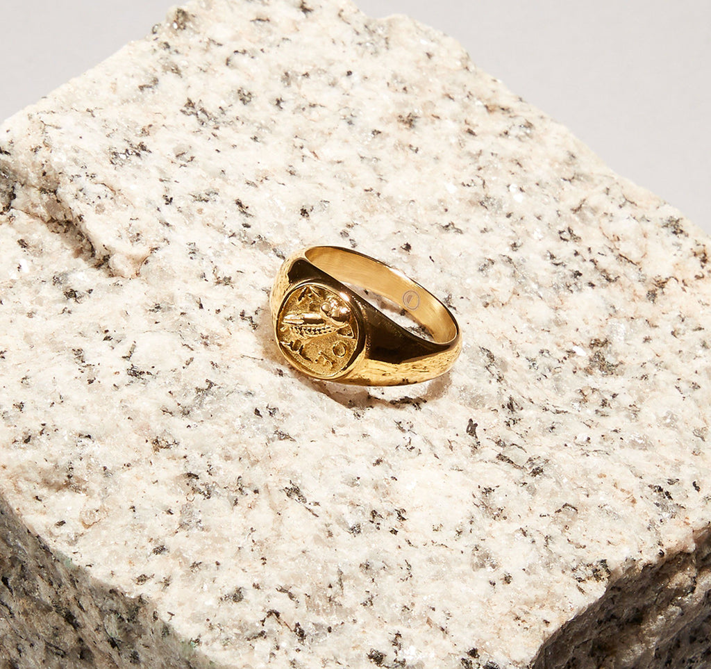 Owl Signet Ring - Gold ring Midnight City Jewellery 